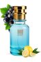 Oil-Based Perfume for Men – Inspired by Pacifik Chil – Alcohol-Free, Fruity, Green & Herbal NOTES – 6–7 Hr Wear – Fresh Morning Fragrance for Spring & Summer (30 ML)