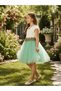 Girl's Knitted Fabric Roba, Floral Guipure Waist, Pleated Tulle Skirt, and Crown Accessory Evening Dress 4-8 Years Birthday, Special Occasion - 4
