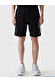 Regular Fit Men's Shorts - 2
