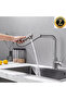 Kitchen Sink Faucet with 2-Function Sprinkler Head and Spiral, Matte Gold, Imported with 7 Years Warranty