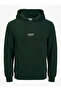 Men's Sweatshirt Hooded Kangaroo Pocket Chest Printed Long Sleeve Comfortable Fit Daily 12279516