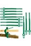 Tree Support Straps, Adjustable Tree Ties for Planting, 10 Pack