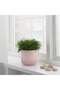 GRADVIS Grooved Stoneware Plant Pot, Pink, 12 cm - 4