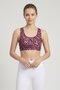 Women Padded Training Sport Bra, Multicolor