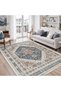 Area Rugs - Ultra-Thin Washble Rug, Stain Resistant Anti Slip Backing Rugs for Living Room,Bedroom, Vintage Home Decor Area Rug - 2