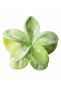 Set of 3 - Floral Marble Claw Clip - 2