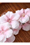 Flower Claw Clip - 3
