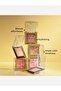 Sensational Chic Script Blush - SNS304 8g - 3