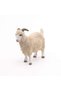 FIGURINA CAPRA ANGORA - 3