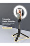 PA213B Ring Light with Tripod Stand & Phone Holder(tiktok) - 3