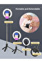 PA213B Ring Light with Tripod Stand & Phone Holder(tiktok) - 6