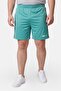 Men Sportswear Fit Training Shorts, Green