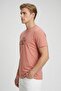 Men Crew Neck Short Sleeve Graphic Print T-shirt, Coral - 3