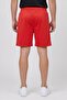 Men Sportswear Fit Training Shorts, Red - 4