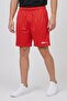 Men Sportswear Fit Training Shorts, Red