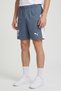Men Sportswear Fit Al Hilal Football Shorts, Grey - 3
