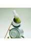 Phyto Brew Matcha Ampoule 50ml |   Matcha Antioxidant and Moisturizing Ampoule - 4