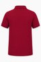 Children's Unisex 2-Pack Polo Collar Short Sleeve School T-Shirt 100% Cotton 2-14 Years - 5