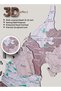 3D Wooden UAE Map Wall Decor for Office & Reception UAE, Cappuccino - 3