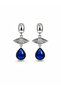 Steel Eye Earrings