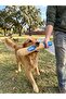 Plush Baseball Bat Dog Toy with Sound – Pull-Along 42cm Brown-Blue - 4