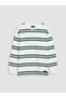 Crew Neck Striped Long Sleeve Boys' T-Shirt (W6)