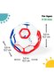 Oball Classic Easy-Grasp Toy - 3