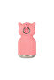 Mini Fox Bestie Bottle - 4