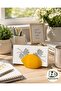 3D Printer Production Lemon Figured Desktop Napkin Holder – Modern Kitchen Decoration - 4