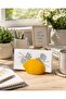 3D Printer Production Lemon Figured Desktop Napkin Holder – Modern Kitchen Decoration - 5