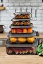 Food Storage Container Gray 5-Piece Rectangular Storage Container Set