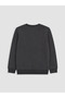 Zero Roba Collar Printed Boys' Thick Sweatshirt 2-Pack from Uzg Store for Style Enthusiasts - 8