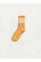 Striped Boys' Socks from Uzg Store for Style Enthusiasts, Pack of 7 - 8