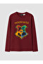 Harry Potter Licensed Crew Neck Boys' Pajama Set - 2