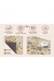 Aura Traditional Patterned Modern Woven Base Decorative Carpet Aura4049 - 8
