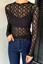 Women's High Neck Lycra Transparent Blouse - 3