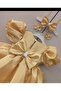 Baby girl fluffy dress - 2
