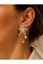 Stone-Set, Gold Color, Comet Star Earrings Acr9805 - 2