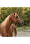 Professional Chin-Tightening Rope Horse Training Halter Durable Control Halter