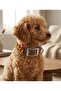 Handmade Paracord Dog Collar – Genuine Leather, Durable Weave, Metal Buckle - 2