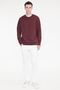 Men's Burgundy Cotton Standard Fit Regular Cut 2 Thread Crew Neck Sweatshirt - 2