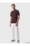 Vizyon New Season Brown Polo Collar Combed Cotton Men's T-Shirt - 2