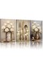 Signtouch Vintage White Rose Wrap Framed Canvas Wall Art Set of 3 40x60 cm