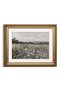 Signtouch Meadow Flowers Landscape Cottagecore Wall Art Gold Frame 40x60 cm