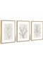 Signtouch Sage Green Watercolor Floral Wall Art 3-Piece Wooden Frame 30x40 cm