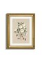 Signtouch Thorns Vintage Floral Canvas Wall Art Gold Outer Frame 40x60 cm