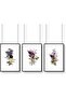Signtouch Floral Wall Art Set of 3 Outer Frame 40x60 cm