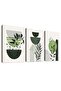 Signtouch Sage Green Boho Wrap Framed Canvas Wall Art Set of 3 40x60 cm