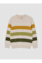 Lcw Kids Ecru Crew Neck Striped Boys' Knit Sweater - 2