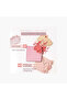 Blush Powder - 4